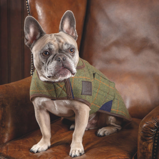 Digby & Fox Tweed Dog Coat