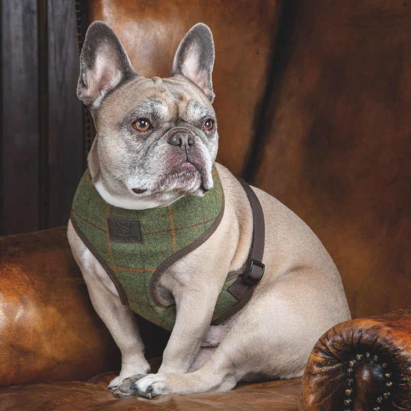 Load image into Gallery viewer, Digby &amp; Fox Tweed Dog Harness
