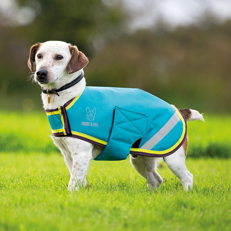 Load image into Gallery viewer, Digby &amp; Fox Waterproof Dog Coat
