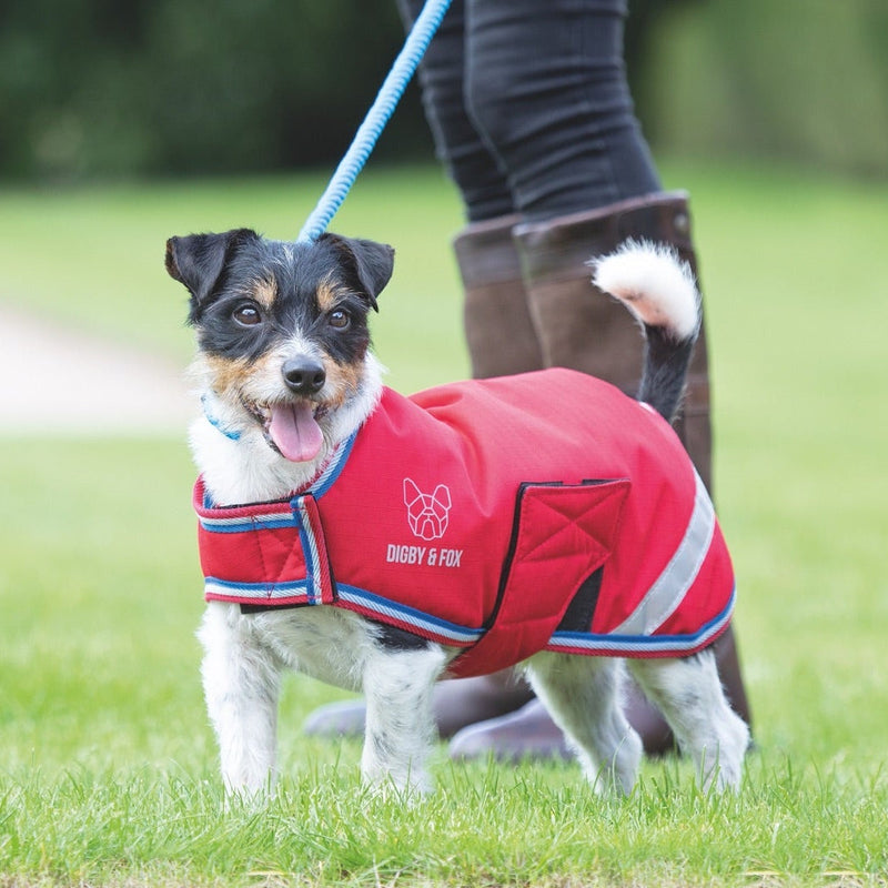 Load image into Gallery viewer, Digby &amp; Fox Waterproof Dog Coat
