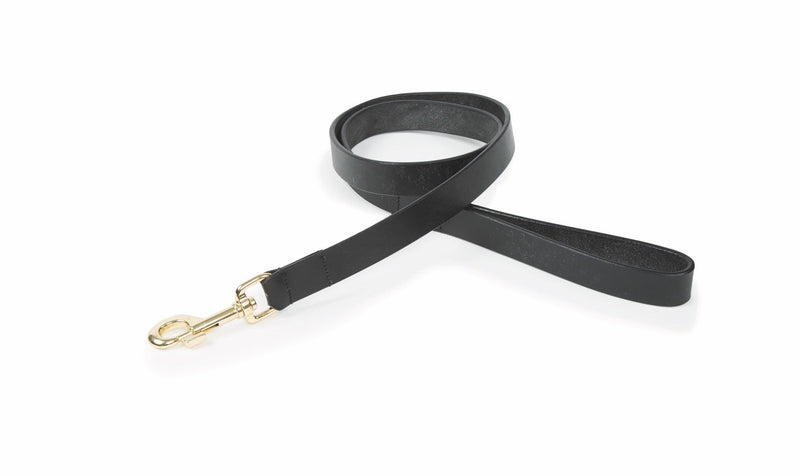 Load image into Gallery viewer, Digby &amp; Fox Flat Leather Dog Lead
