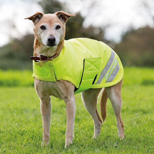EQUI-FLECTOR Dog Coat