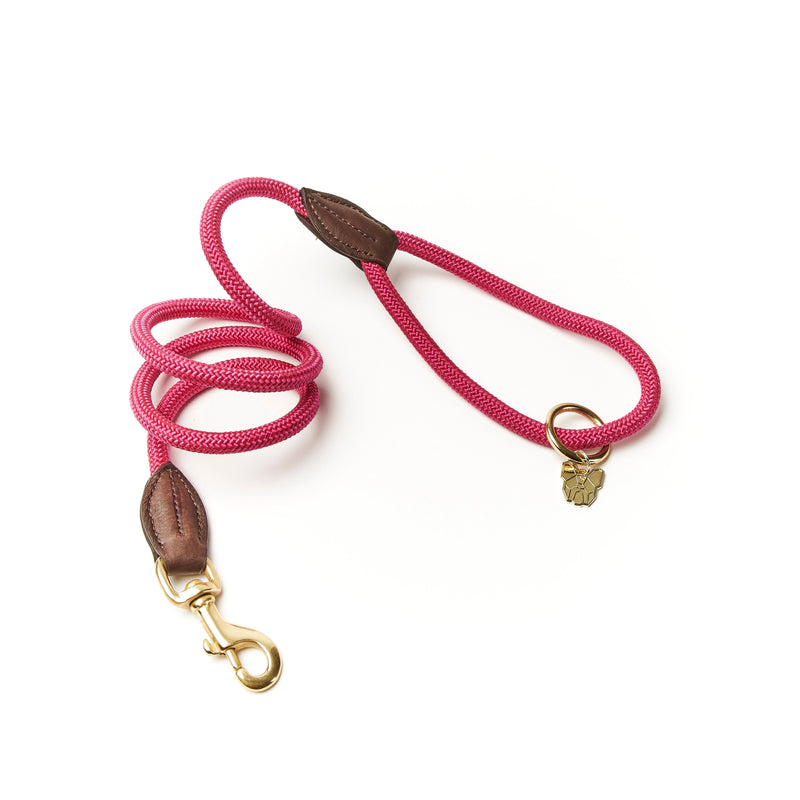Load image into Gallery viewer, Digby &amp; Fox Fine Rope Lead
