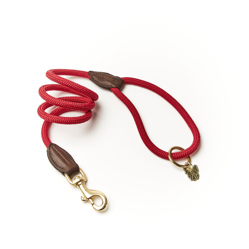 Load image into Gallery viewer, Digby &amp; Fox Fine Rope Lead
