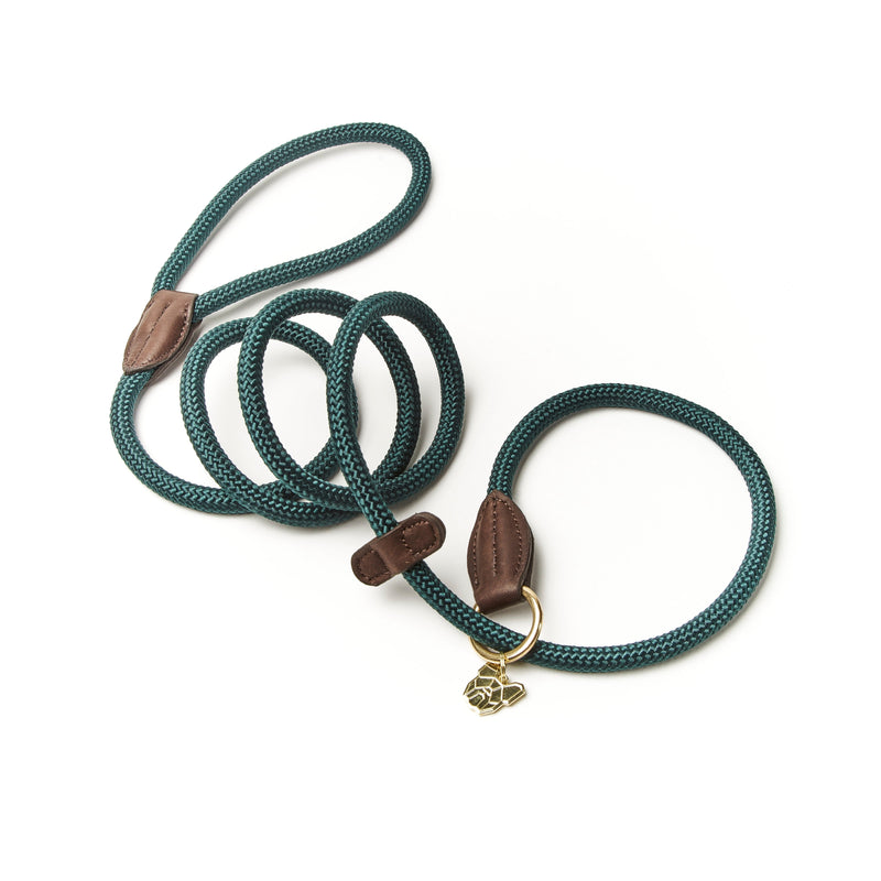 Load image into Gallery viewer, Digby &amp; Fox Fine Rope Slip Lead
