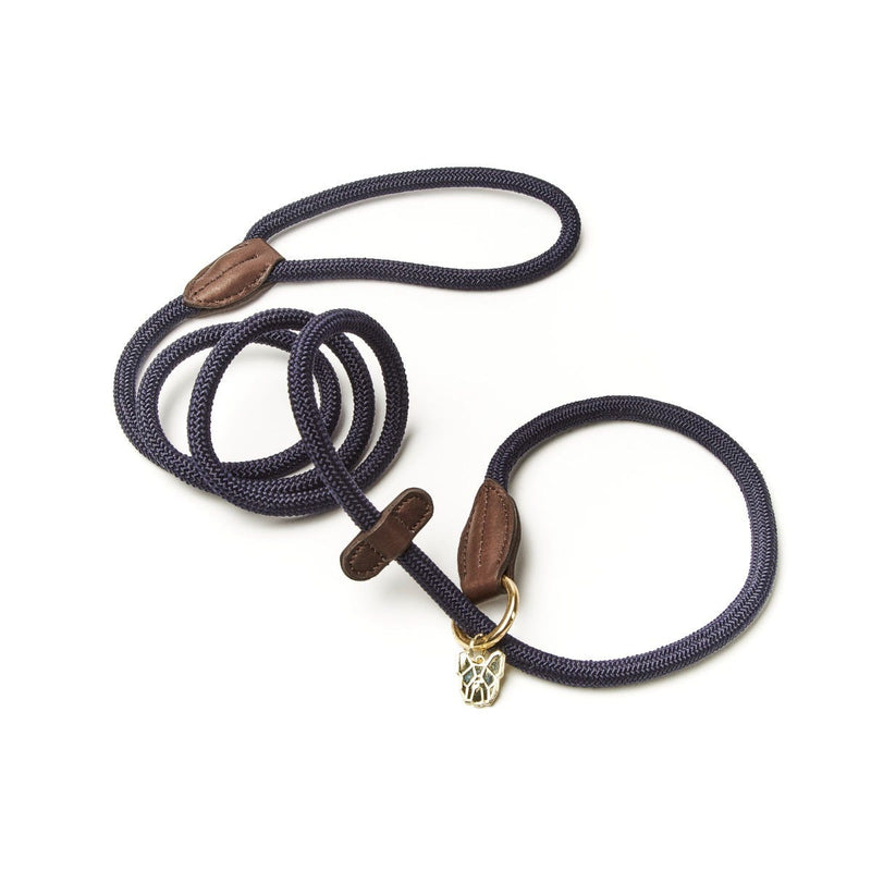 Load image into Gallery viewer, Digby &amp; Fox Fine Rope Slip Lead
