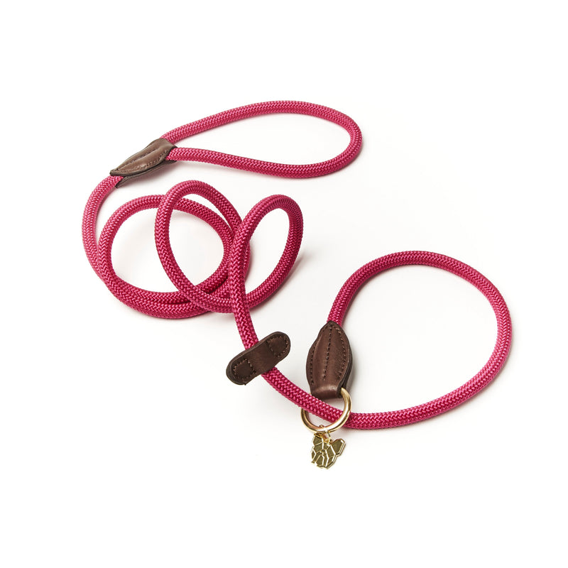 Load image into Gallery viewer, Digby &amp; Fox Fine Rope Slip Lead
