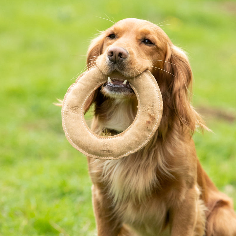 Load image into Gallery viewer, Digby &amp; Fox Leather Frisbee Toy
