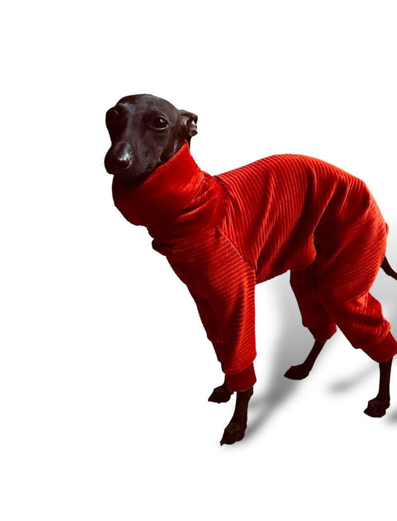 Load image into Gallery viewer, Jumbo Cord Jersey Suit - Burnt Orange
