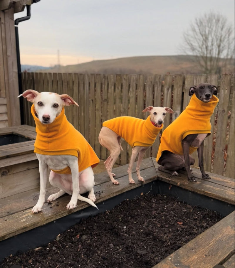 Load image into Gallery viewer, Open-Leg Fleece Vest - Yellow

