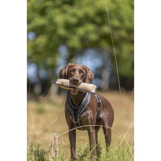 Dog Jute Training Dummy Biting Roll ø 9 × 29 cm/43 cm