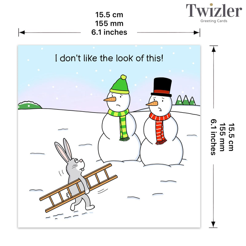 Load image into Gallery viewer, I Don't Like The Look of This - Funny Christmas Card
