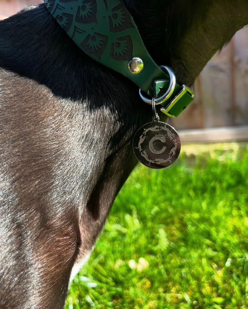 Load image into Gallery viewer, Leather Collar - Mandala
