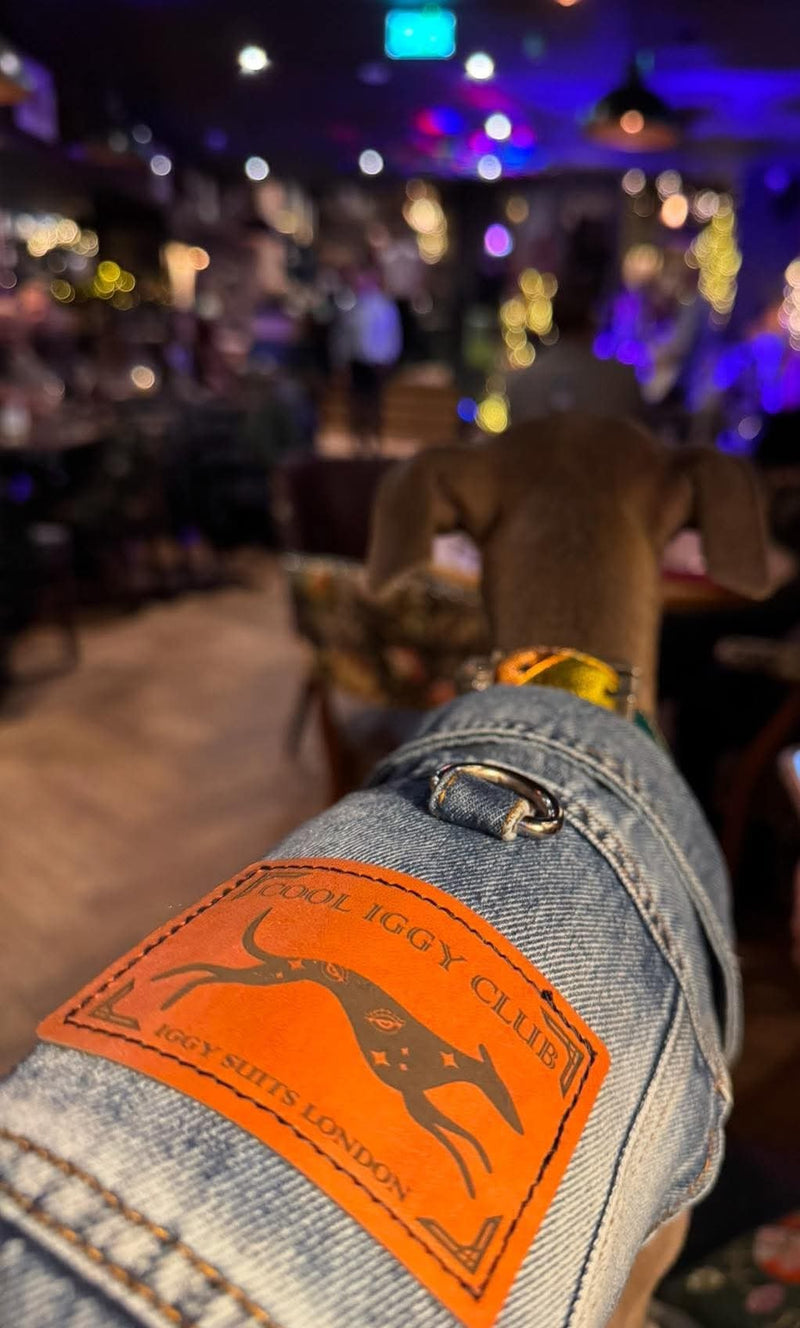 Load image into Gallery viewer, Denim Jacket - Cool Iggy Club
