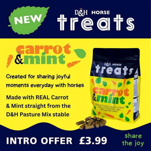 *NEW* D&H Carrot & Mint Treats 1kg
