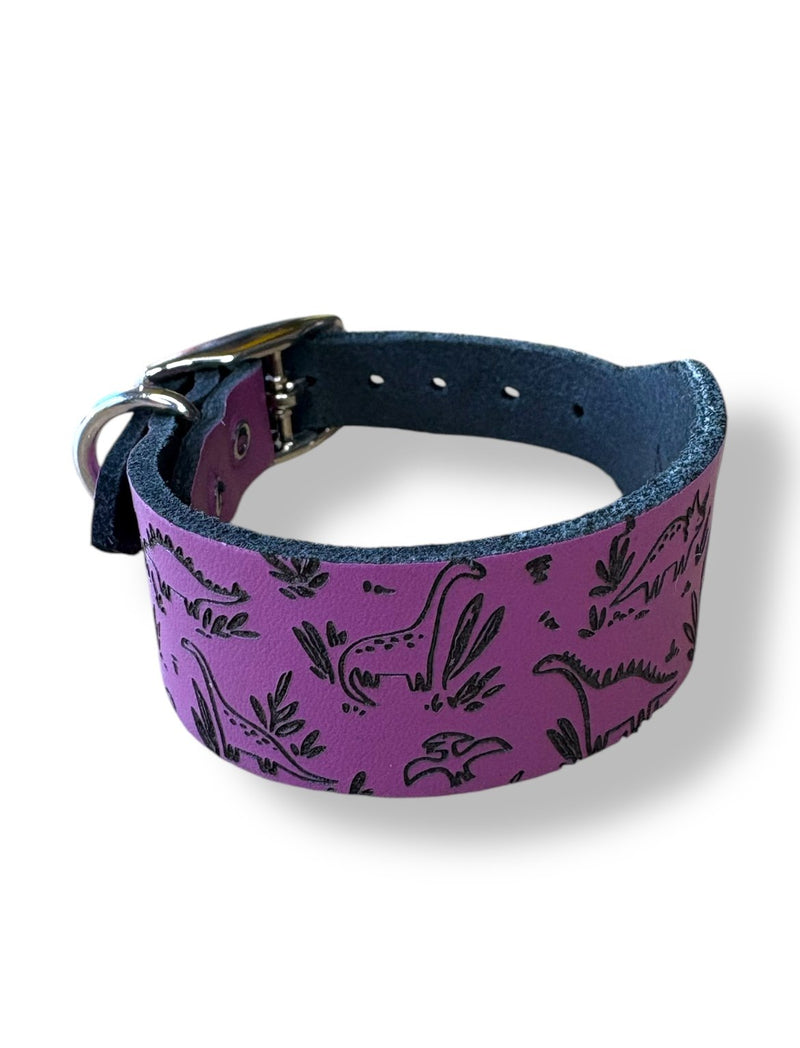 Load image into Gallery viewer, Leather Collar - Dinosaurs
