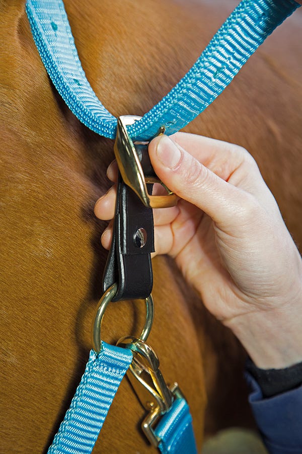 Load image into Gallery viewer, Velociti GARA Headcollar Breakaway Attachment
