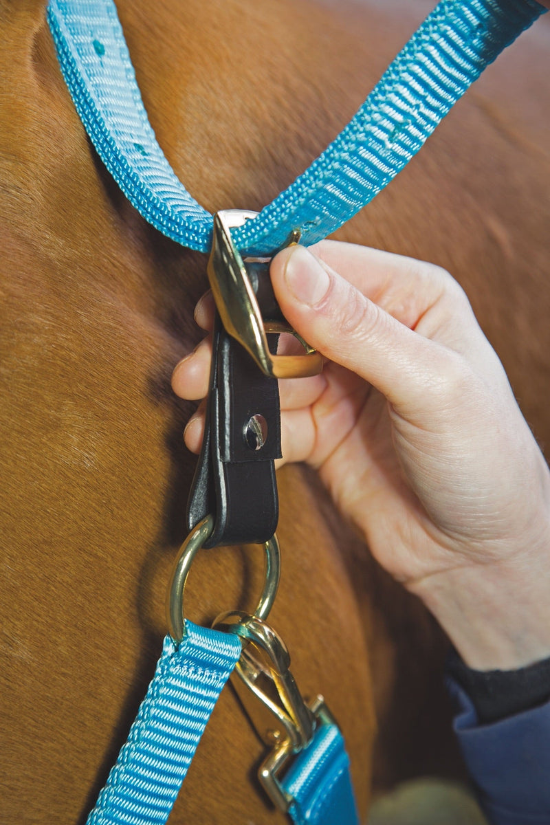 Load image into Gallery viewer, Velociti GARA Headcollar Breakaway Attachment
