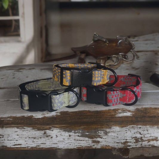 Dog Collars