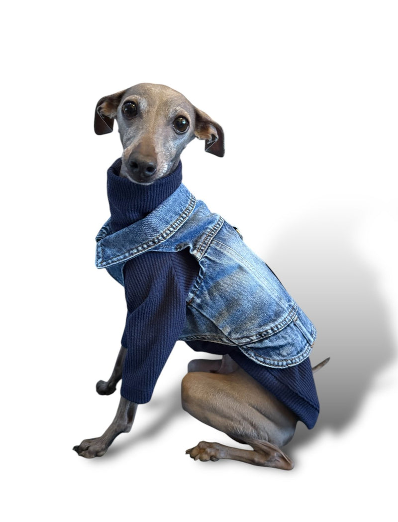 Load image into Gallery viewer, Denim Jacket - Cool Iggy Club
