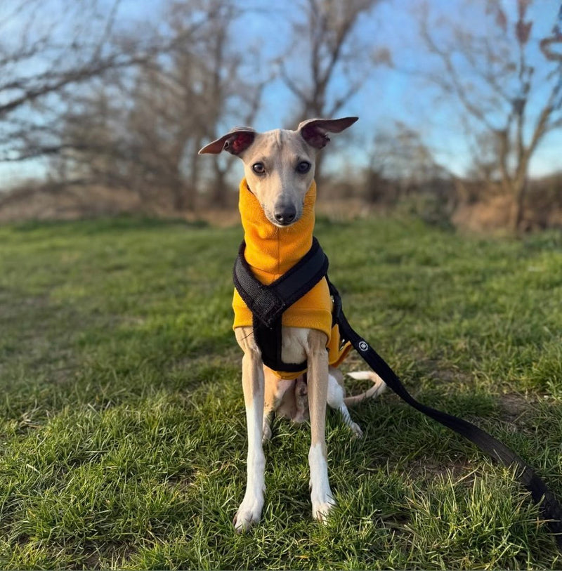 Load image into Gallery viewer, Open-Leg Fleece Vest - Yellow
