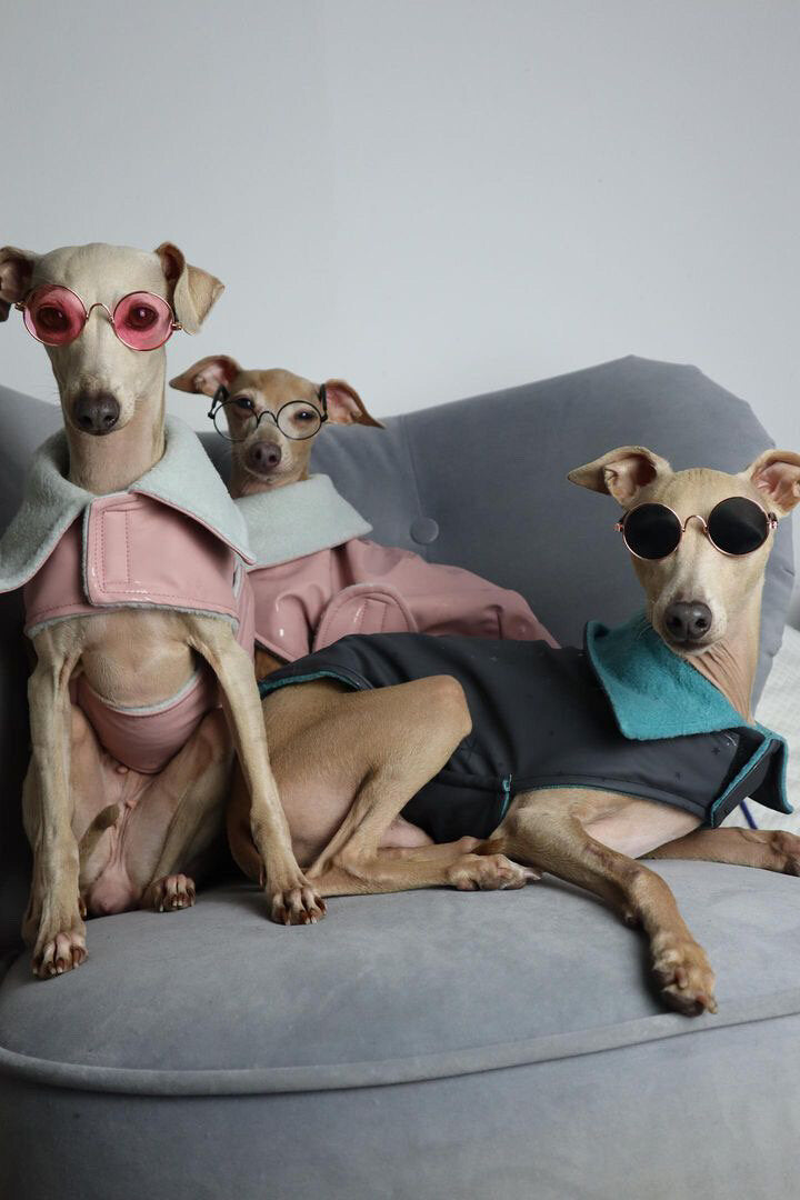 Load image into Gallery viewer, Rain Mac - Blush Pink Submarines
