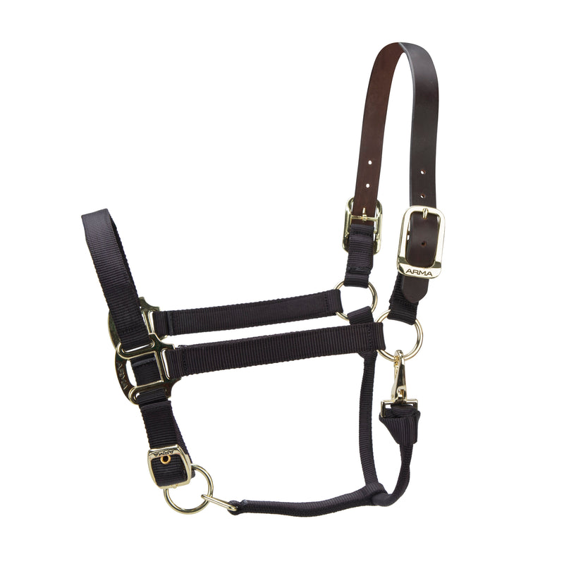 Load image into Gallery viewer, ARMA Premium Adjustable FieldSafe Headcollar
