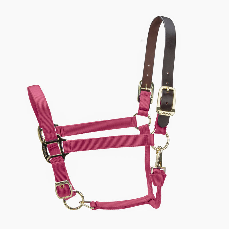 Load image into Gallery viewer, ARMA Premium Adjustable FieldSafe Headcollar
