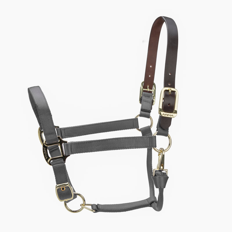 Load image into Gallery viewer, ARMA Premium Adjustable FieldSafe Headcollar
