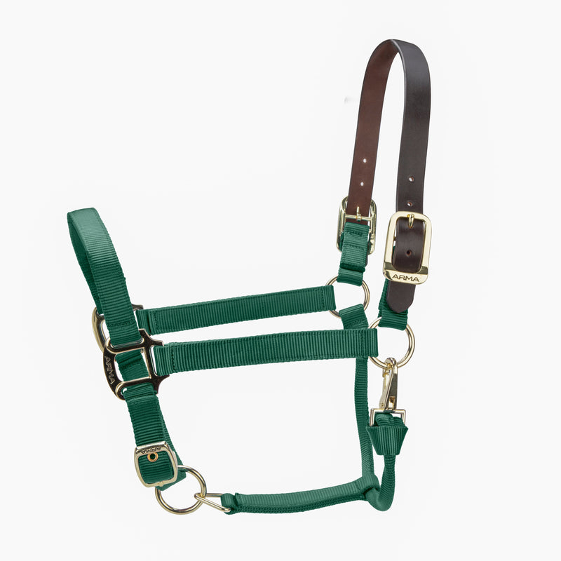 Load image into Gallery viewer, ARMA Premium Adjustable FieldSafe Headcollar
