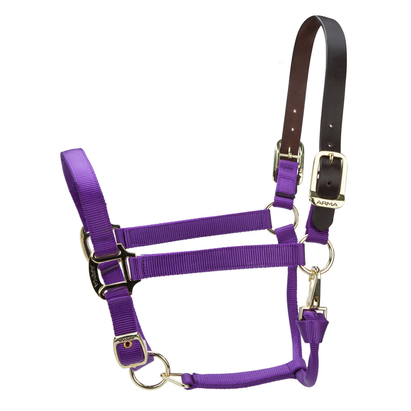Load image into Gallery viewer, ARMA Premium Adjustable FieldSafe Headcollar
