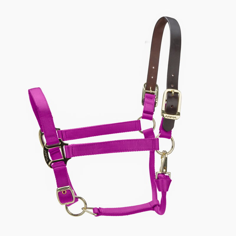 Load image into Gallery viewer, ARMA Premium Adjustable FieldSafe Headcollar
