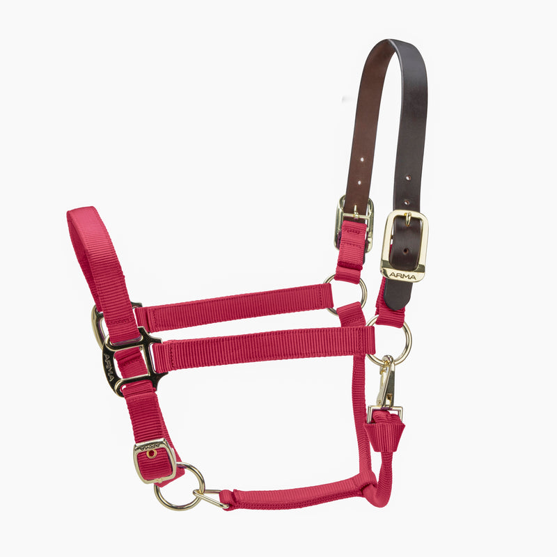 Load image into Gallery viewer, ARMA Premium Adjustable FieldSafe Headcollar
