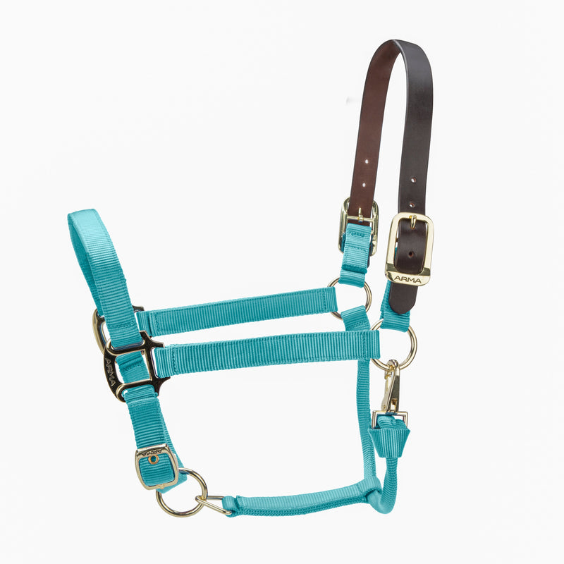 Load image into Gallery viewer, ARMA Premium Adjustable FieldSafe Headcollar
