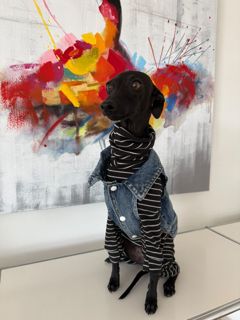 Load image into Gallery viewer, Denim Jacket - Cool Iggy Club
