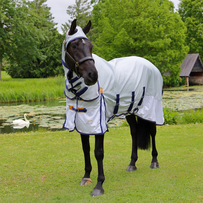 Load image into Gallery viewer, Shires Highlander Plus Sun Shade Fly Combo Rug
