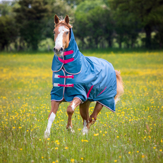 9330C - Tempest Original Lite Turnout Combo Rug