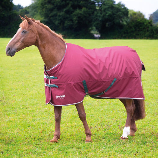 9331 - Shires Tempest Original 200 Turnout Rug - Ashurst Equestrian & Country
