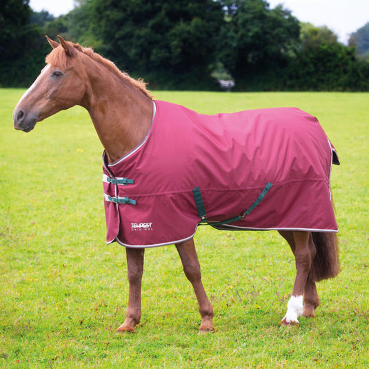 9331 - Shires Tempest Original 200 Turnout Rug