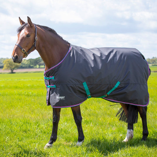 9337 - Shires Tempest Original 300 Turnout Rug