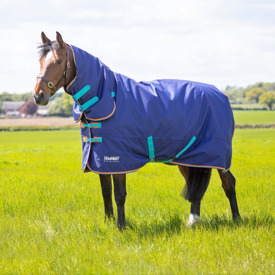 9338 - Tempest Original 100 Turnout Combo Rug