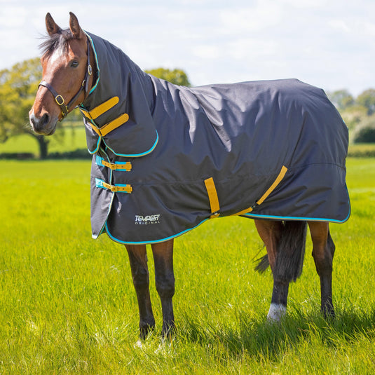 9339 - Tempest Original 300 Turnout Combo Rug