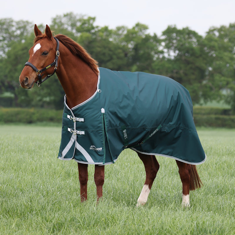 Load image into Gallery viewer, 9356 - Shires Highlander Original 300 Turnout Rug
