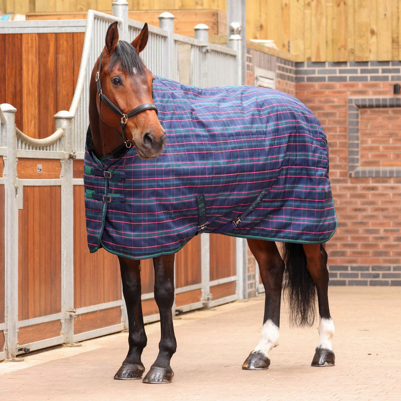 Load image into Gallery viewer, 9369 - Shires Tempest Plus 100 Stable Rug - Ashurst Equestrian &amp; Country
