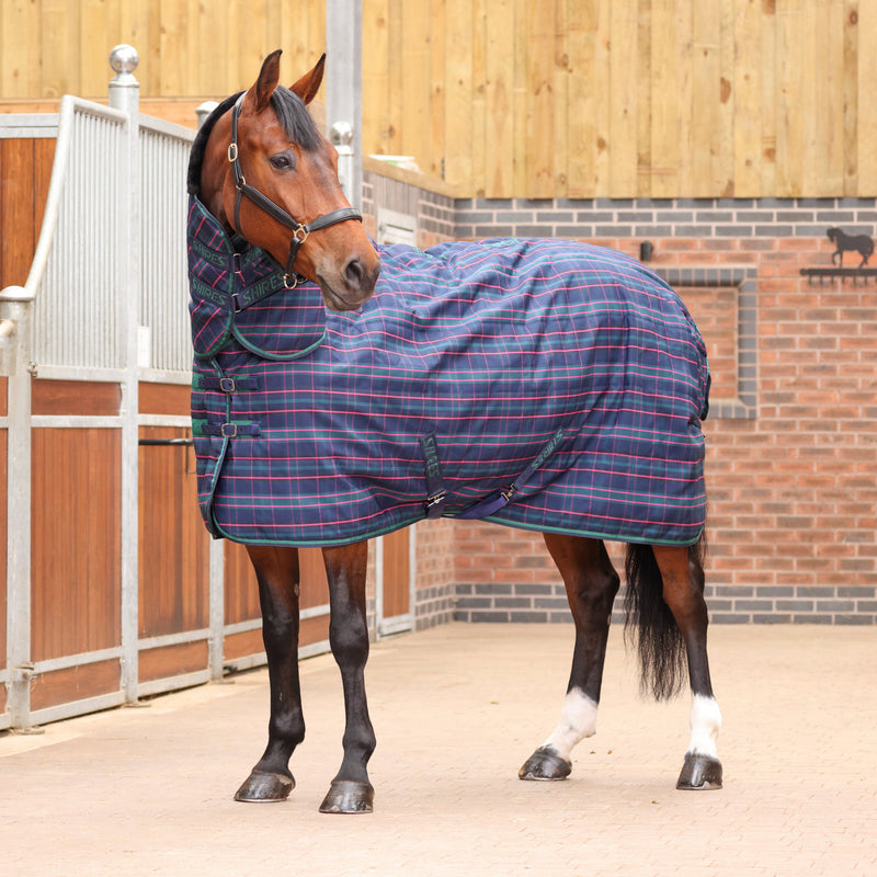 Load image into Gallery viewer, 9369C - Tempest Plus 100 Stable Combo Rug
