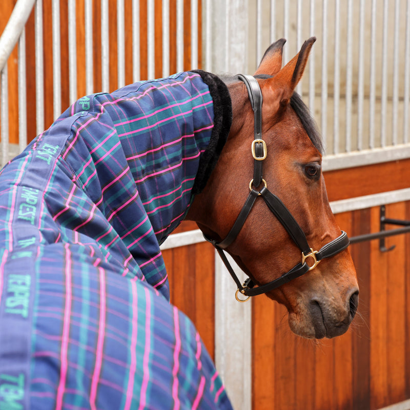 Load image into Gallery viewer, 9369C - Tempest Plus 100 Stable Combo Rug
