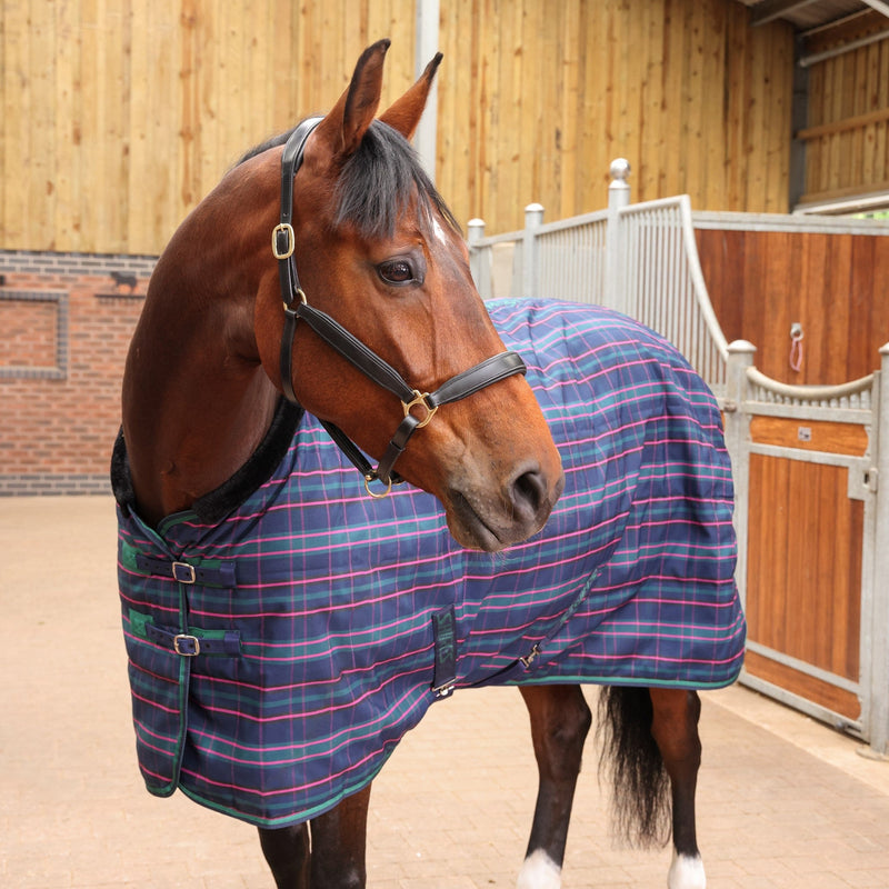 Load image into Gallery viewer, 9369 - Shires Tempest Plus 100 Stable Rug
