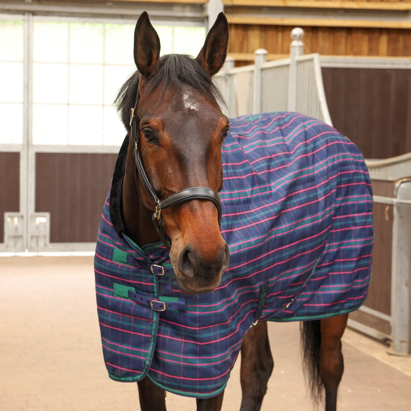 Load image into Gallery viewer, 9369 - Shires Tempest Plus 100 Stable Rug
