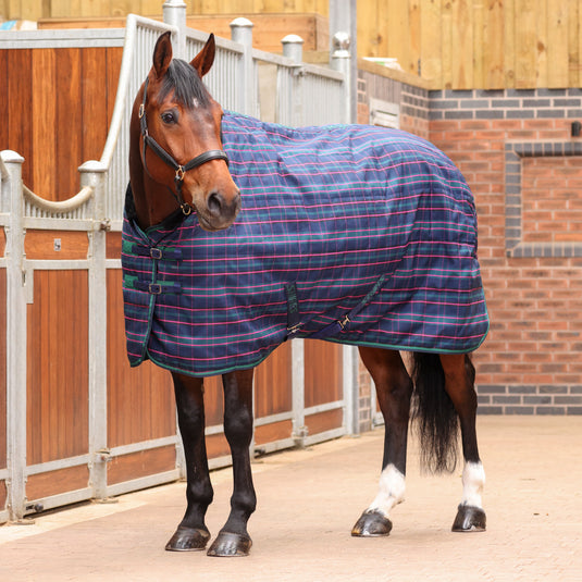 9369 - Shires Tempest Plus 100 Stable Rug