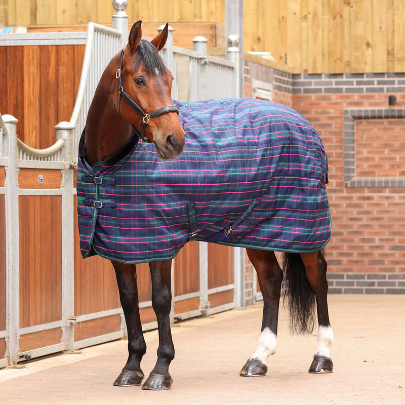Load image into Gallery viewer, 9369 - Shires Tempest Plus 100 Stable Rug
